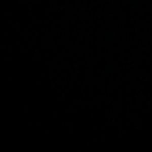 Meet your Posher, Cesar